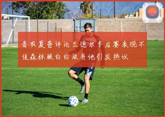 香农夏普评论兰德尔季后赛表现不佳森林狼白白放弃他引发热议